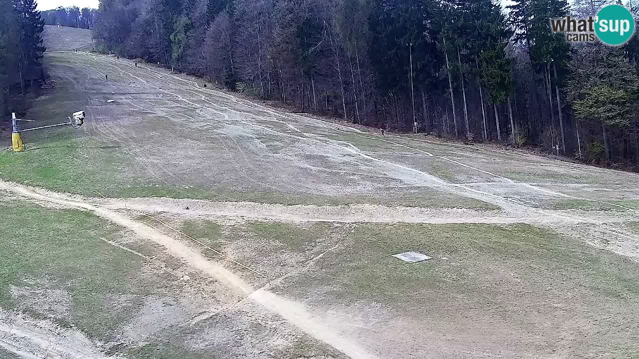 Web Camera Pohorje Trikotna Jasa | Poštela