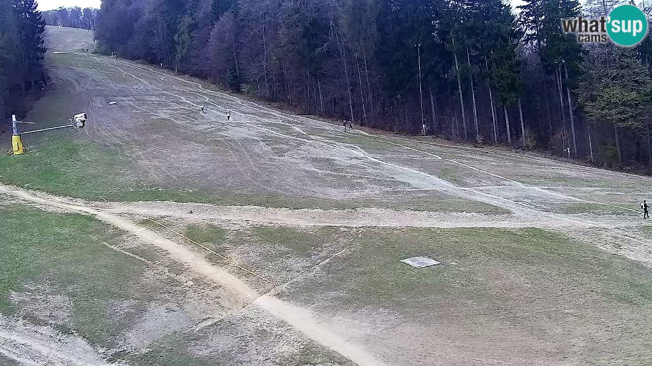 Webcam Pohorje Trikotna Jasa | Poštela
