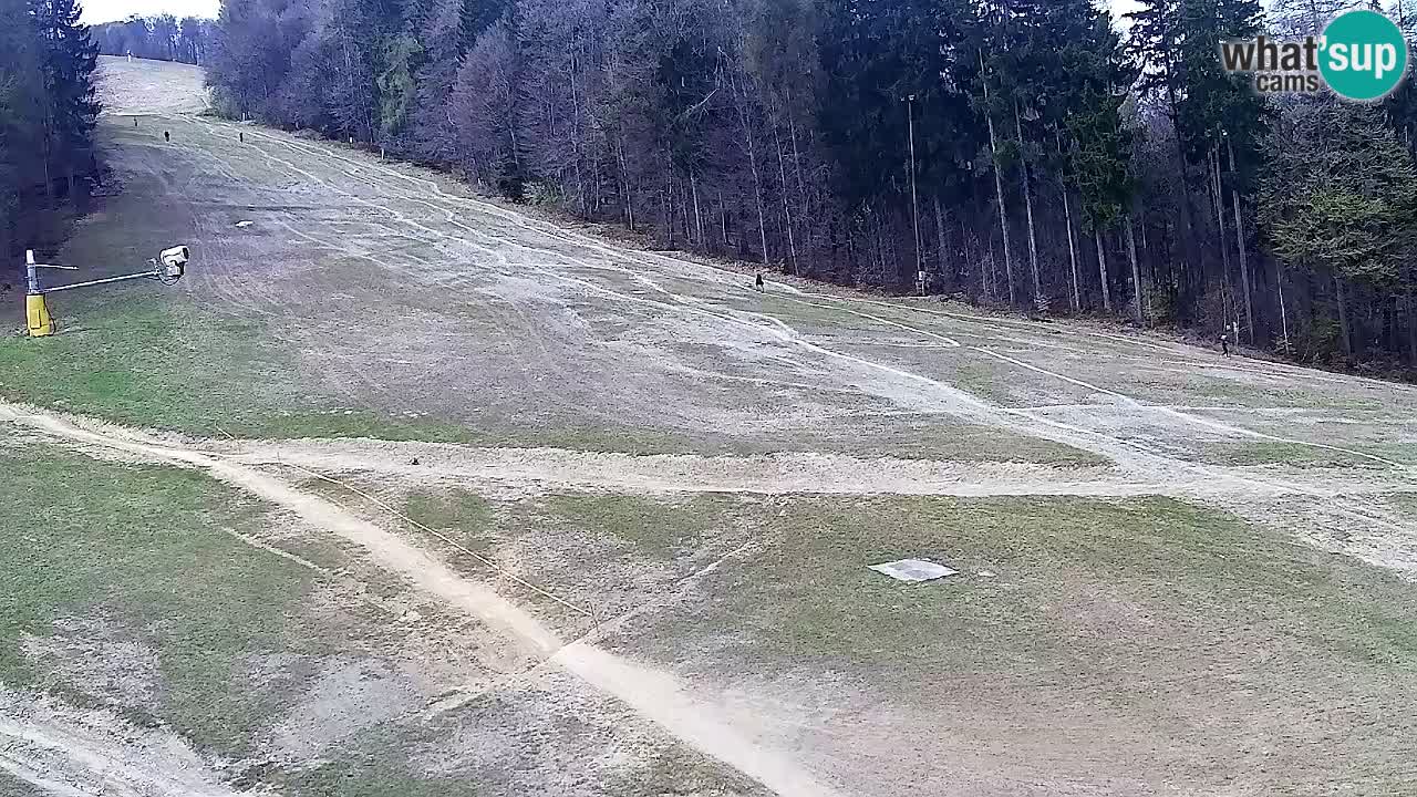 Webcam Pohorje Trikotna Jasa | Poštela