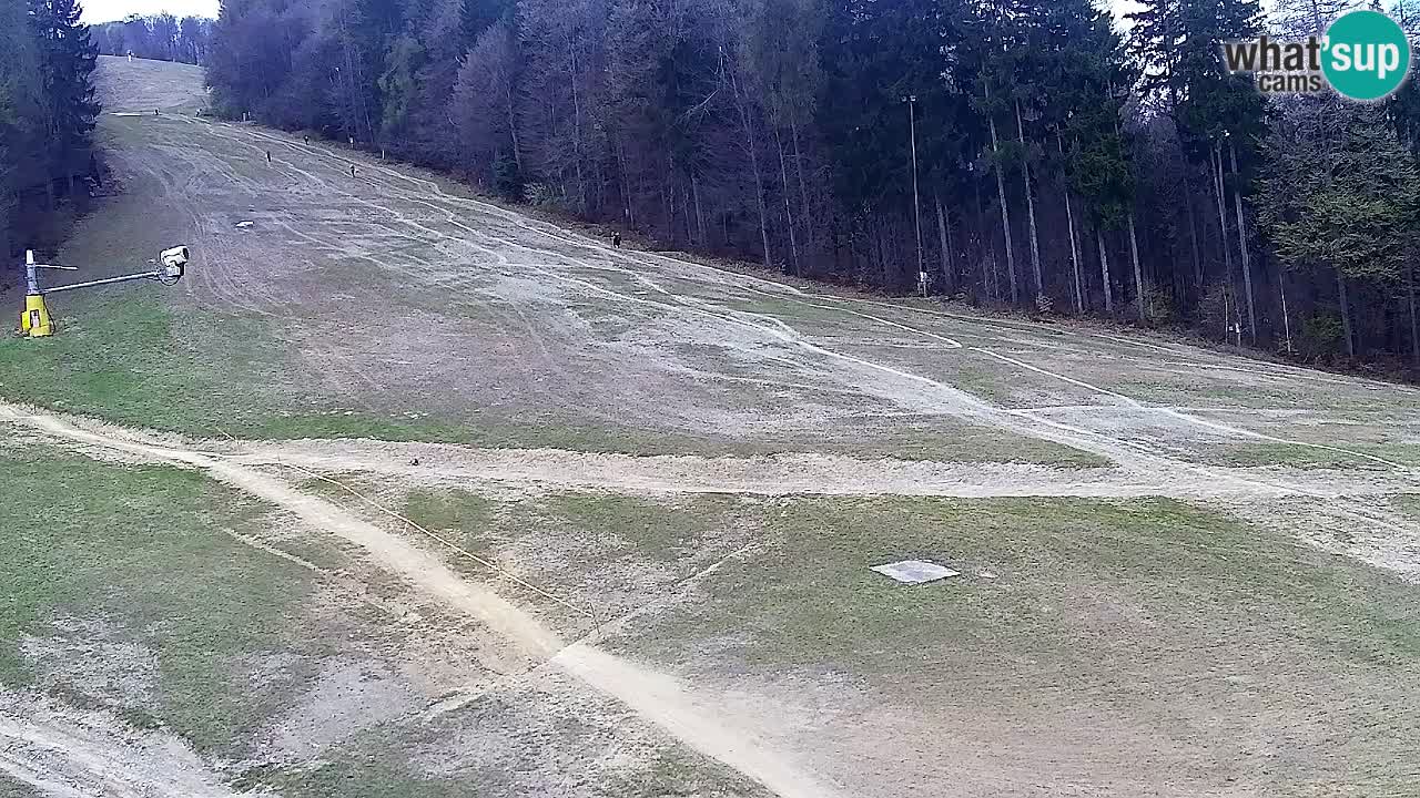 Web Camera Pohorje Trikotna Jasa | Poštela