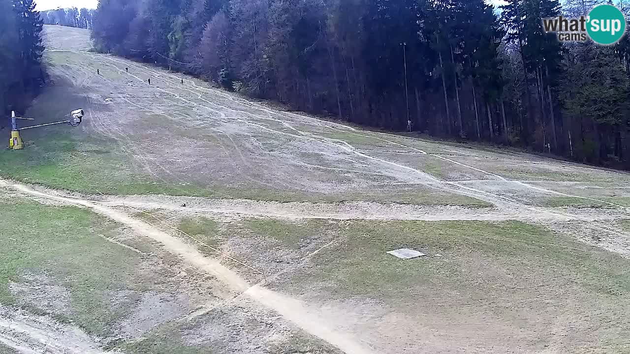 Webcam Pohorje Trikotna Jasa | Poštela