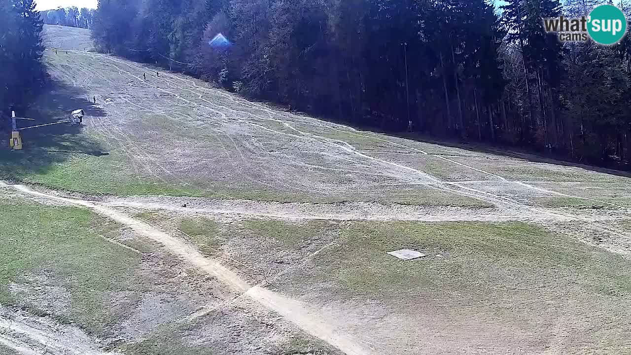 Spletna Kamera Pohorje Trikotna Jasa | Poštela