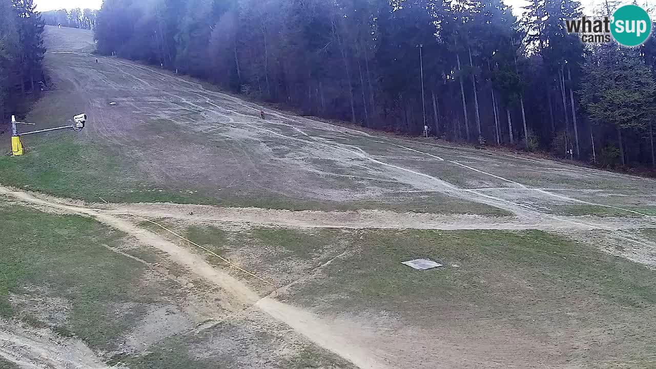 Webcam Pohorje Trikotna Jasa | Poštela