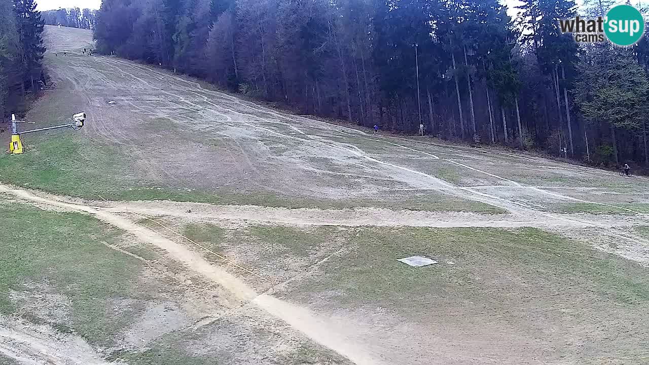 Webcam Pohorje Trikotna Jasa | Poštela