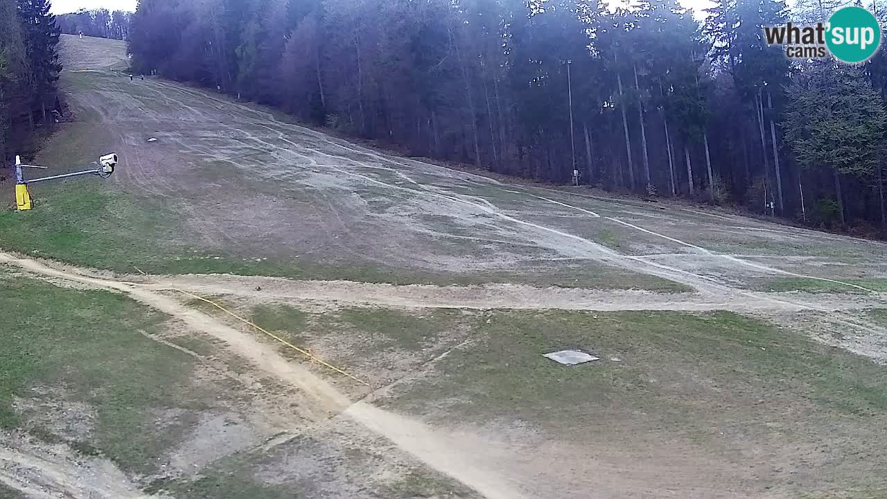 Webcam Pohorje Trikotna Jasa | Poštela