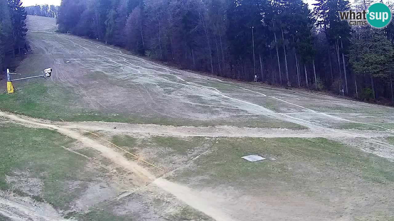 Spletna Kamera Pohorje Trikotna Jasa | Poštela