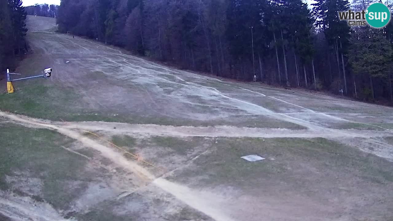 Web Camera Pohorje Trikotna Jasa | Poštela