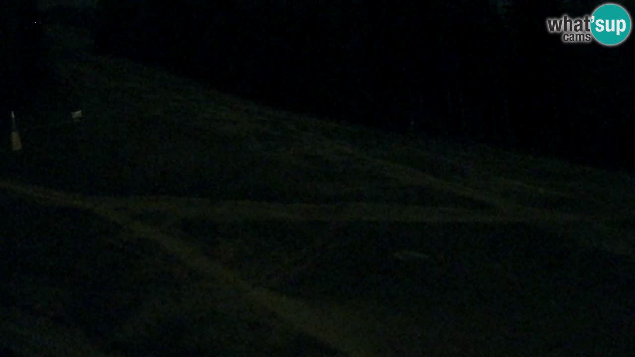 Spletna Kamera Pohorje Trikotna Jasa | Poštela