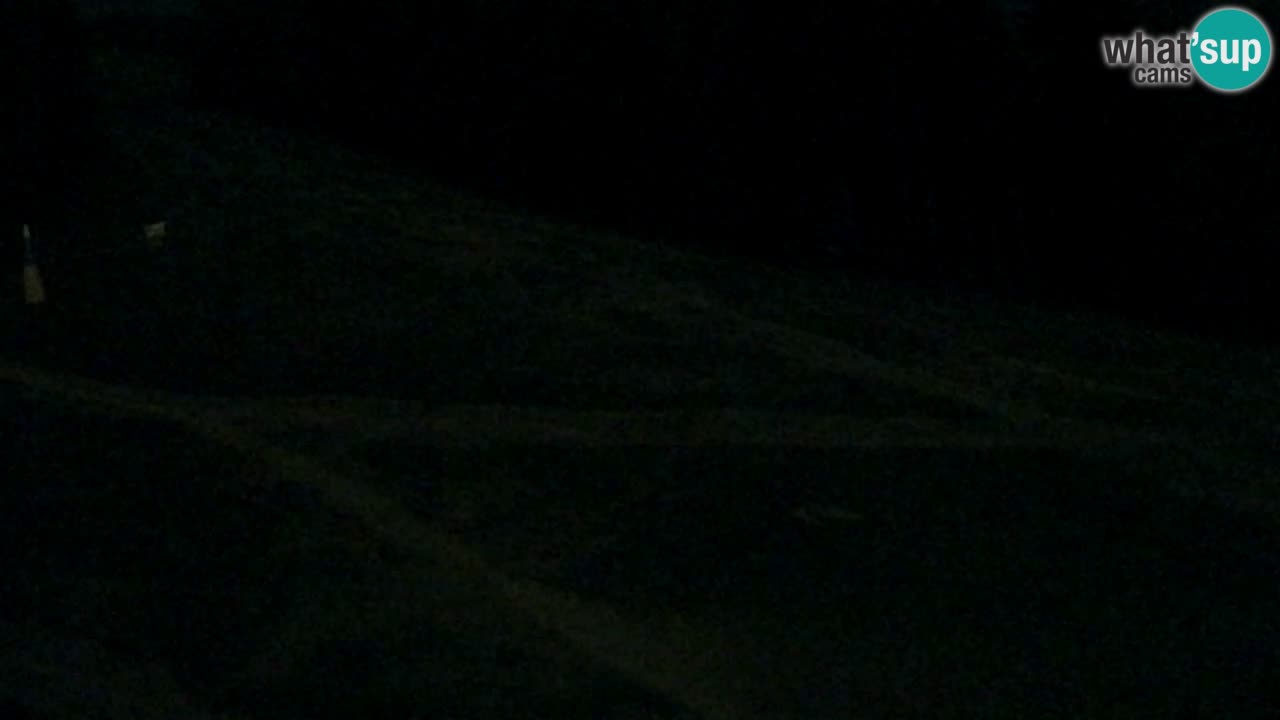 Webcam Pohorje Trikotna Jasa | Poštela