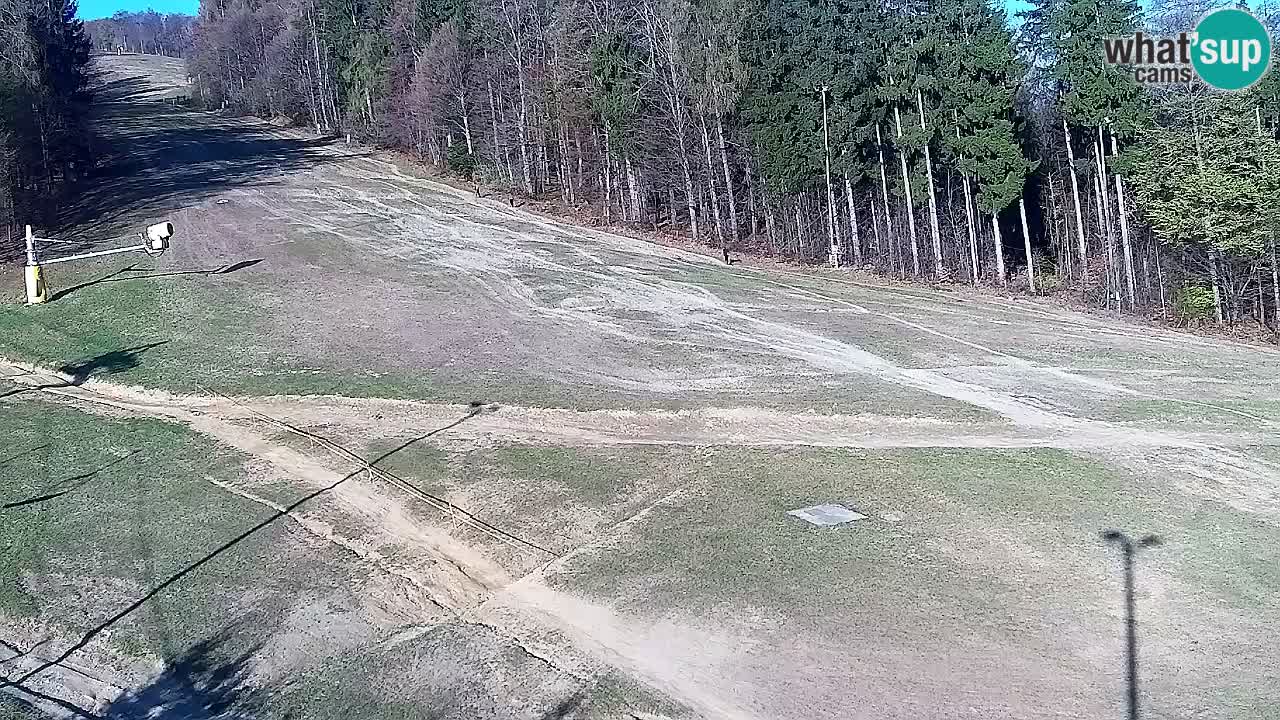 Webcam Pohorje Trikotna Jasa | Poštela