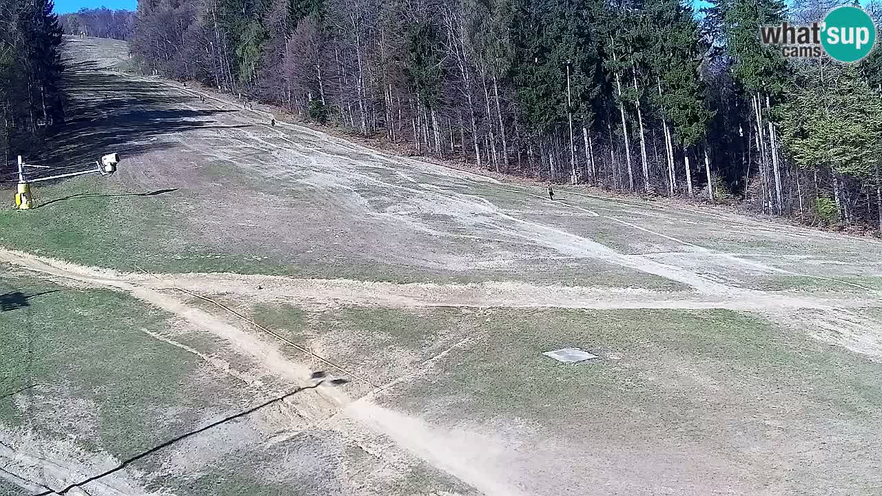 Webcam Pohorje Trikotna Jasa | Poštela