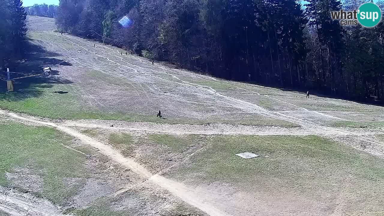 Webcam Pohorje Trikotna Jasa | Poštela