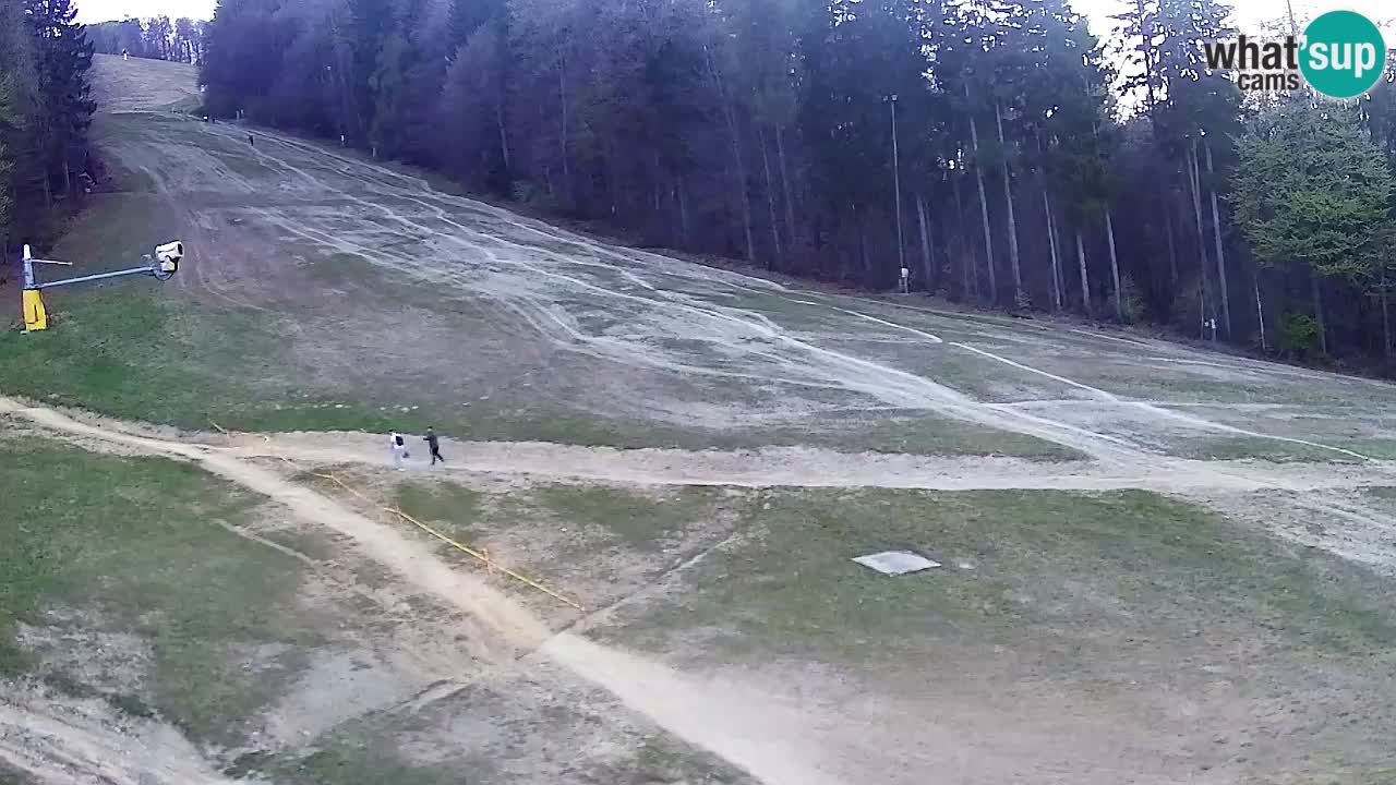 Webcam Pohorje Trikotna Jasa | Poštela