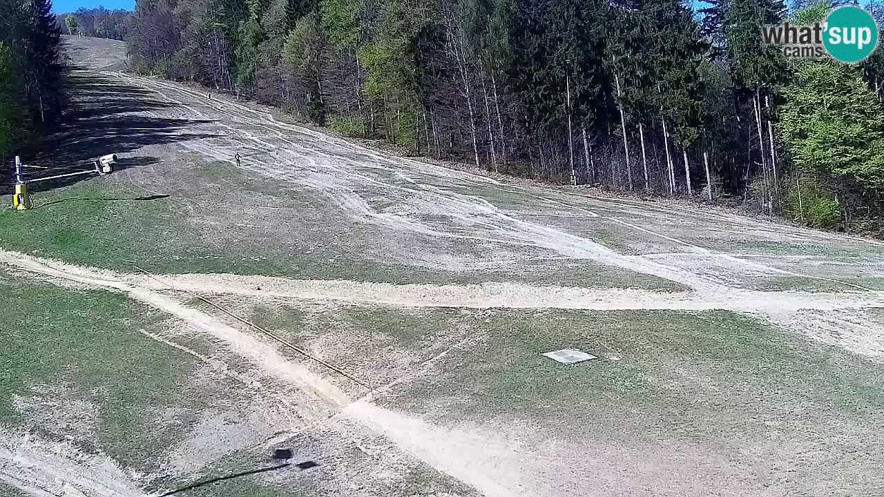 Webcam Pohorje Trikotna Jasa | Poštela