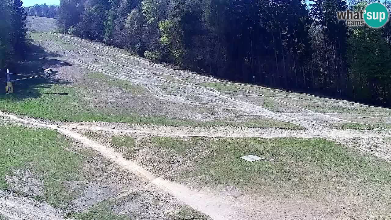 Web Camera Pohorje Trikotna Jasa | Poštela