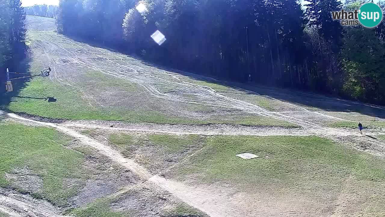 Webcam Pohorje Trikotna Jasa | Poštela