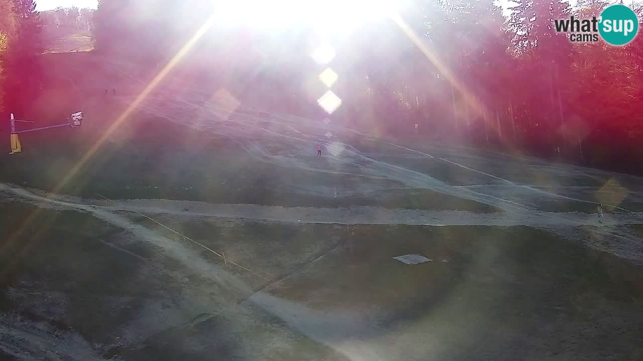 Webcam Pohorje Trikotna Jasa | Poštela