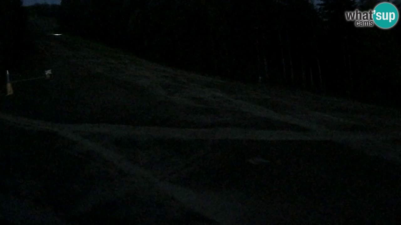 Webcam Pohorje Trikotna Jasa | Poštela