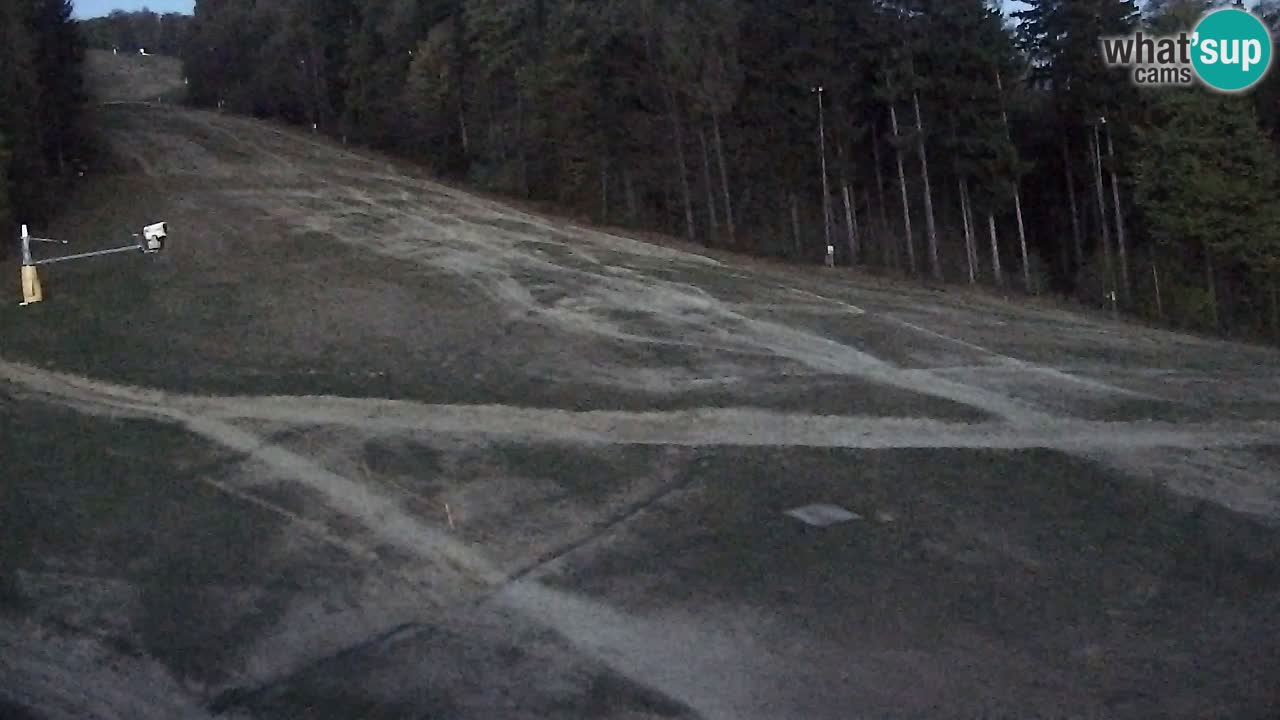 Webcam Pohorje Trikotna Jasa | Poštela