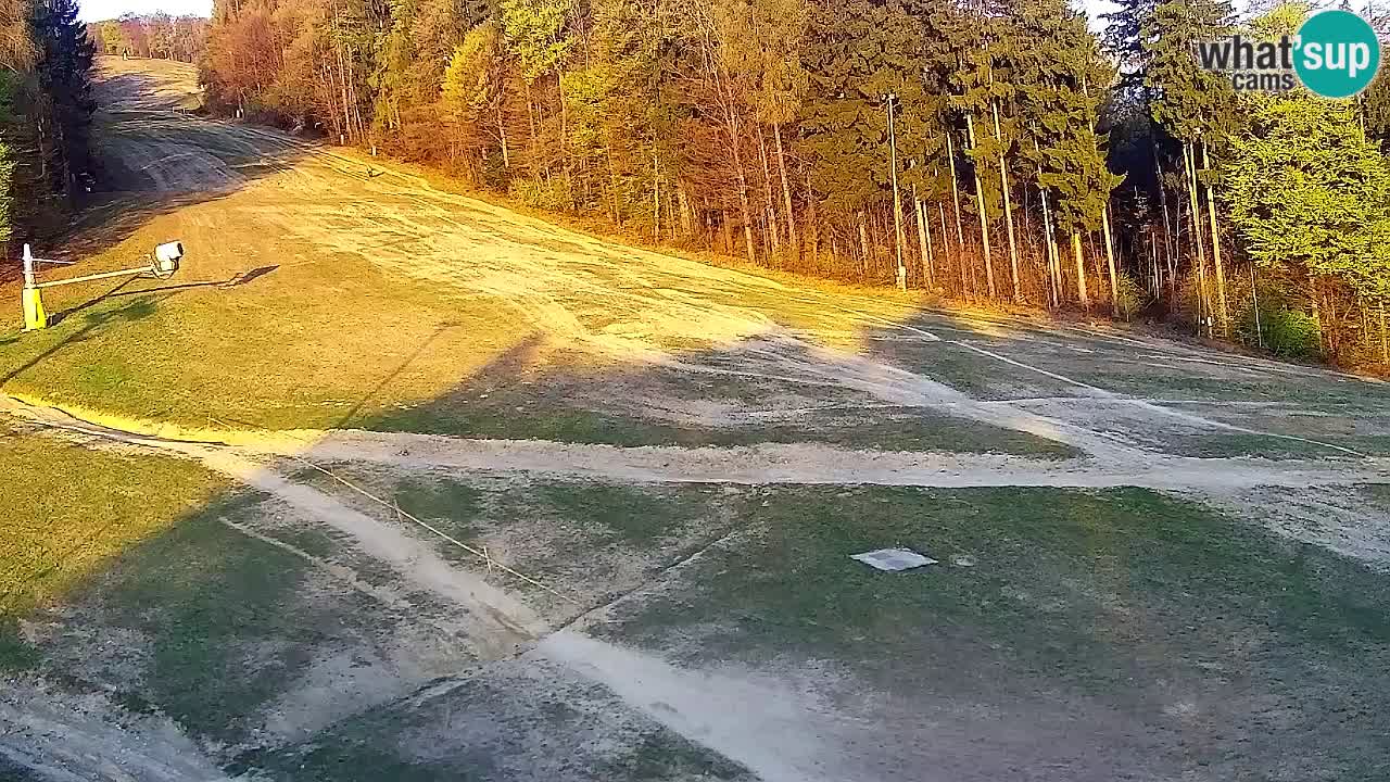 Webcam Pohorje Trikotna Jasa | Poštela