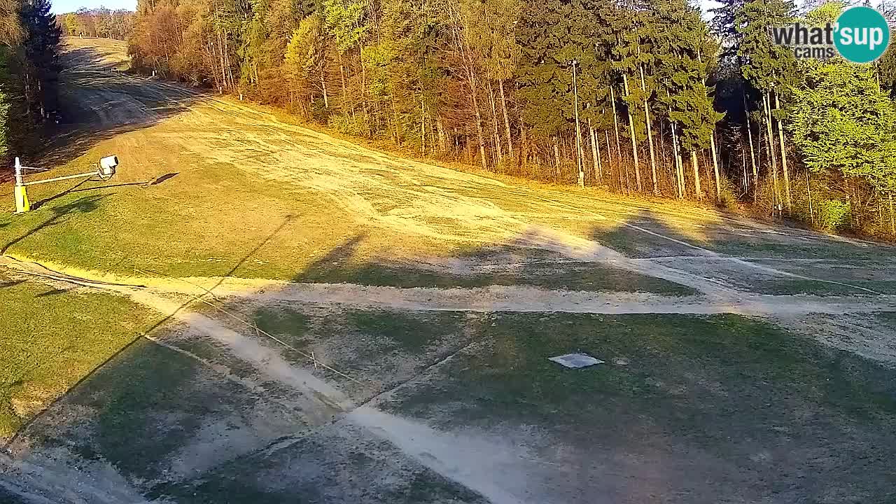 Webcam Pohorje Trikotna Jasa | Poštela