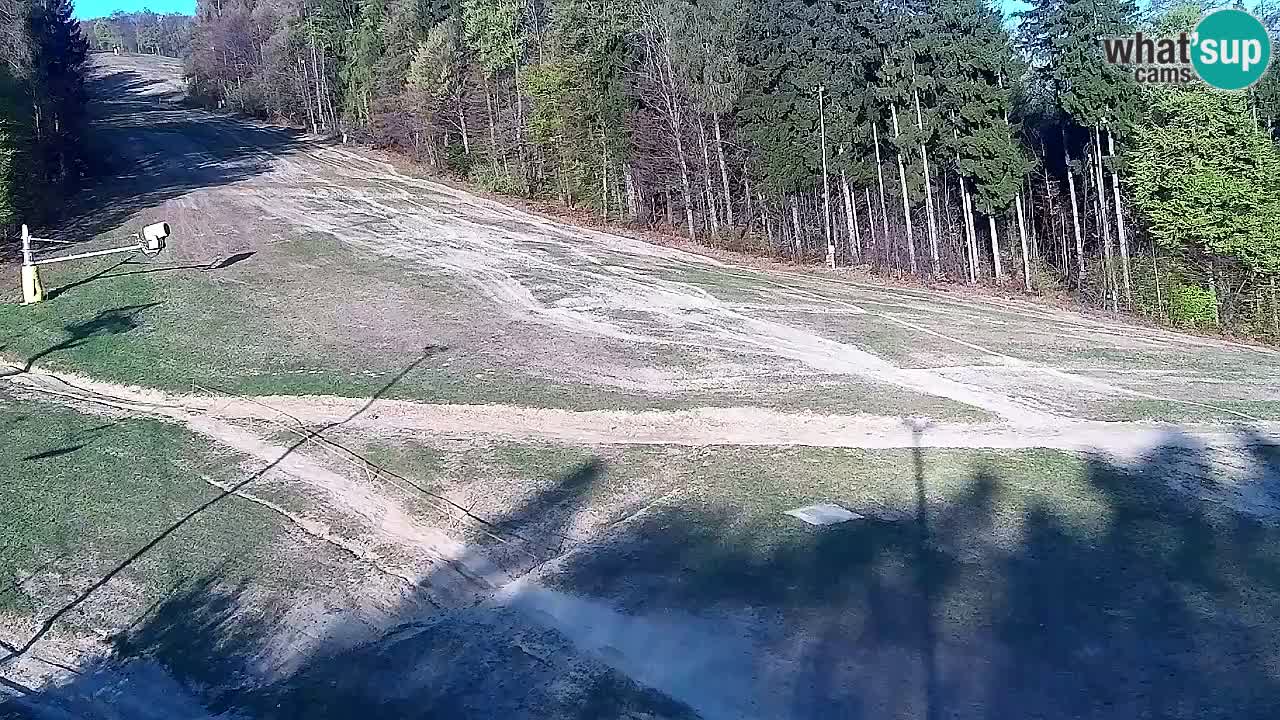 Webcam Pohorje Trikotna Jasa | Poštela