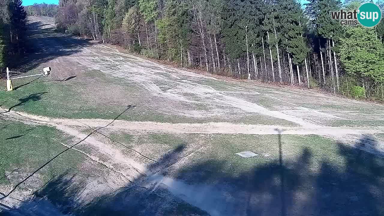 Web Camera Pohorje Trikotna Jasa | Poštela