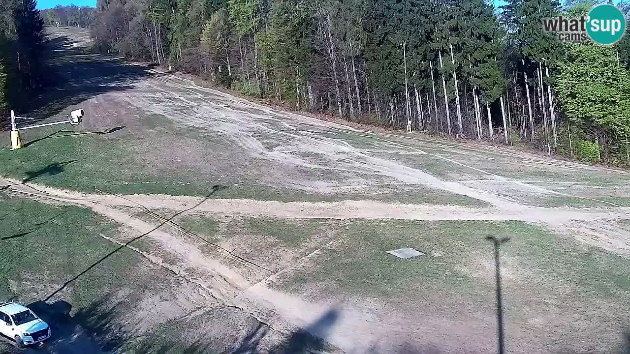 Webcam Pohorje Trikotna Jasa | Poštela