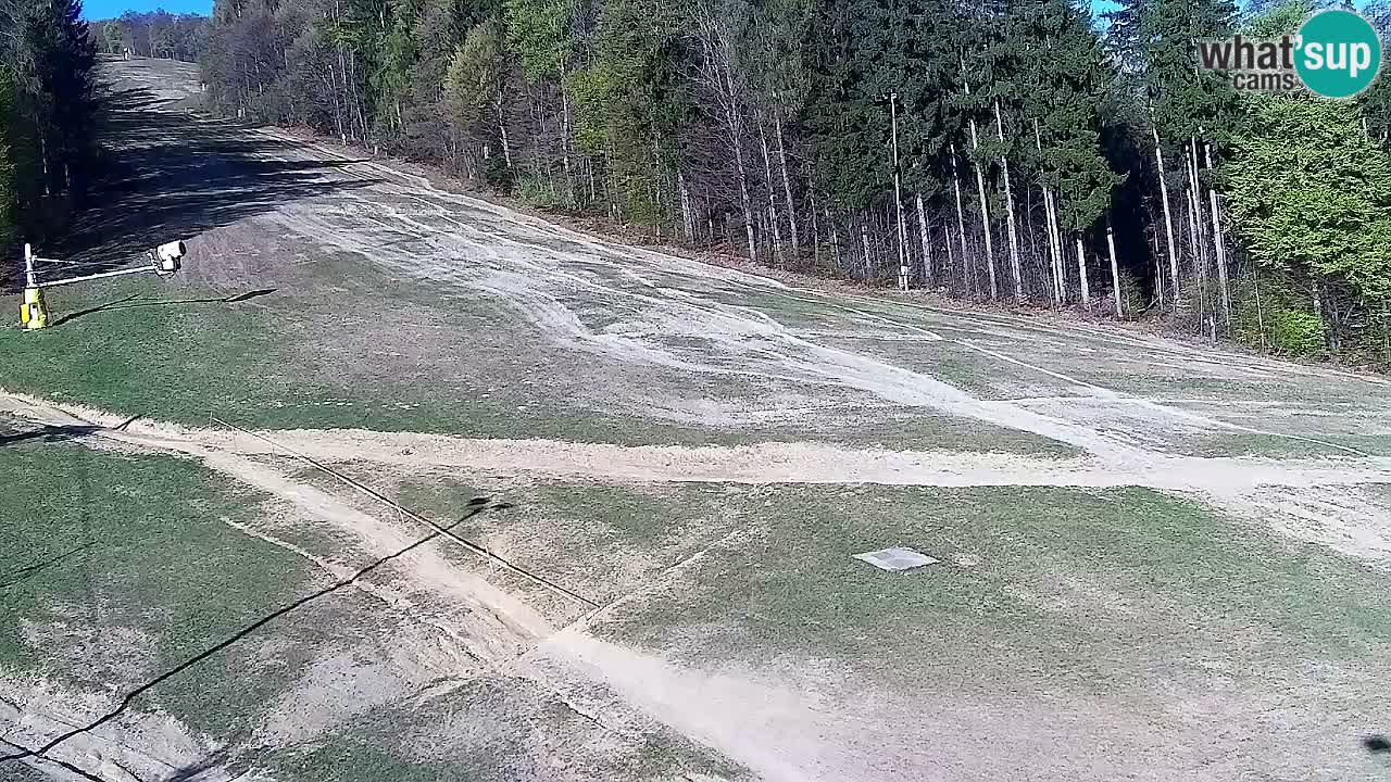 Webcam Pohorje Trikotna Jasa | Poštela