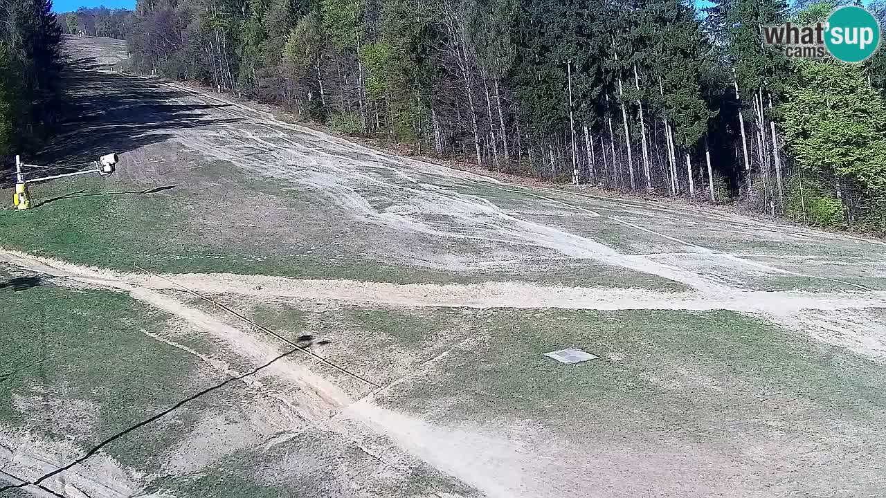 Webcam Pohorje Trikotna Jasa | Poštela