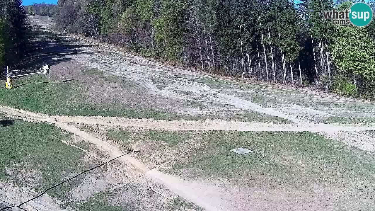 Webcam Pohorje Trikotna Jasa | Poštela