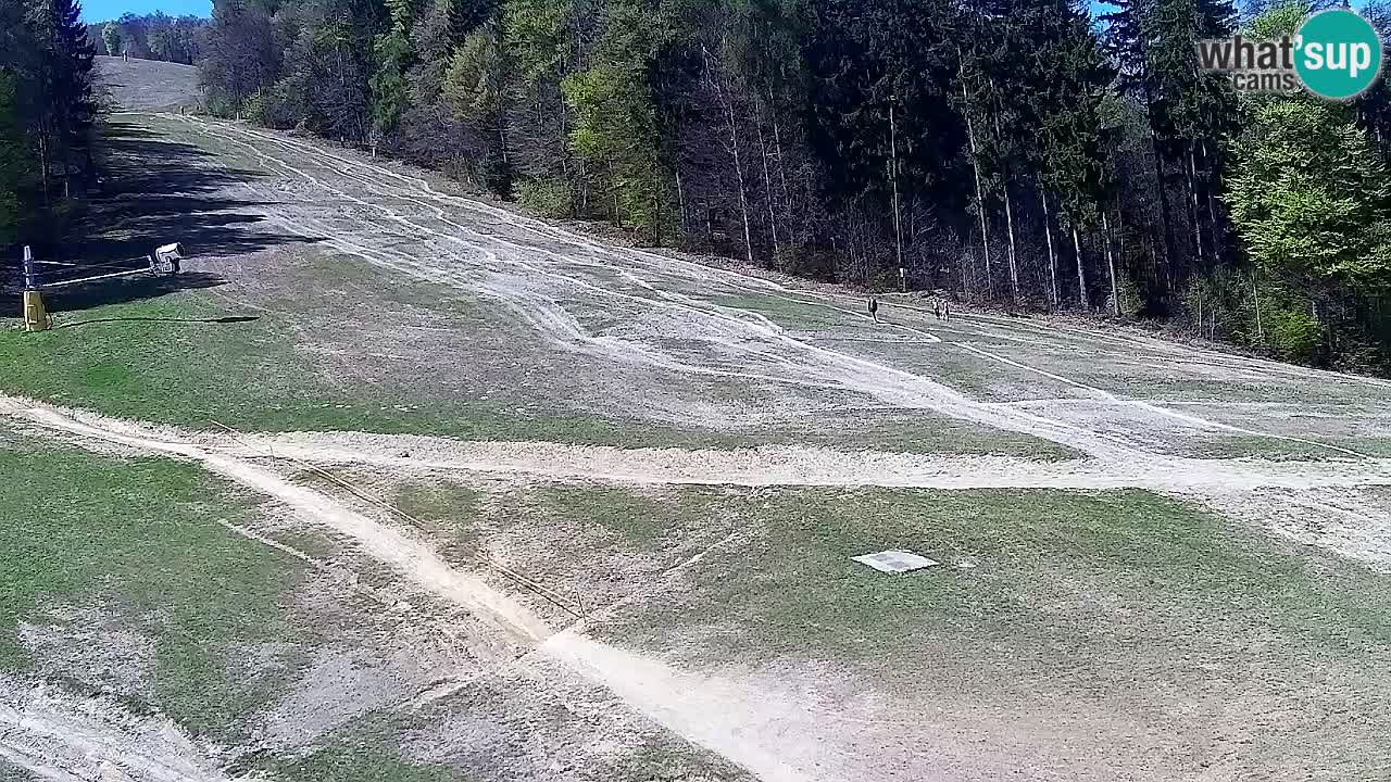 Webcam Pohorje Trikotna Jasa | Poštela