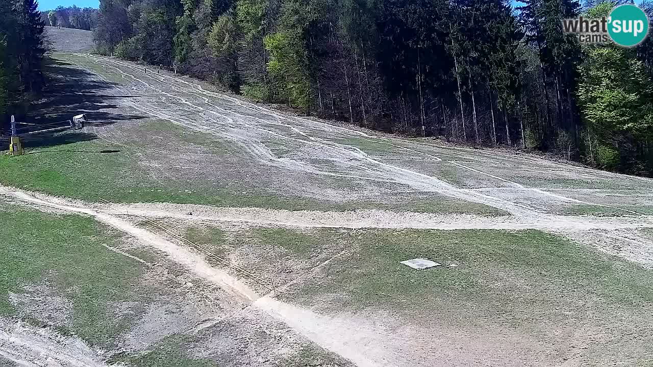 Web Camera Pohorje Trikotna Jasa | Poštela