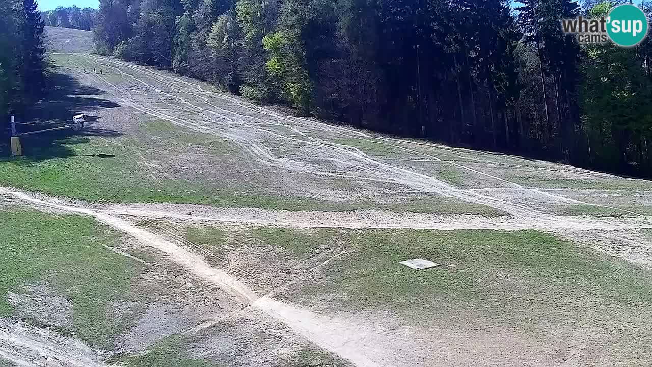 Webcam Pohorje Trikotna Jasa | Poštela