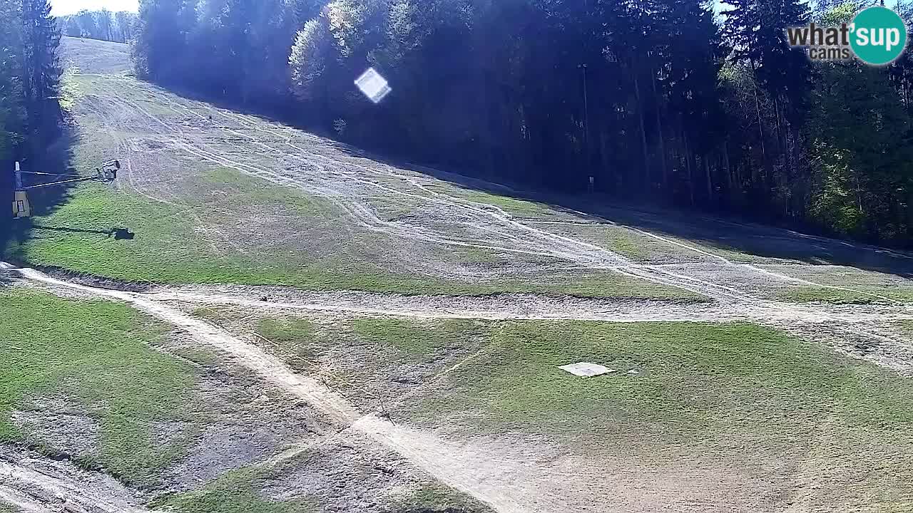 Spletna Kamera Pohorje Trikotna Jasa | Poštela