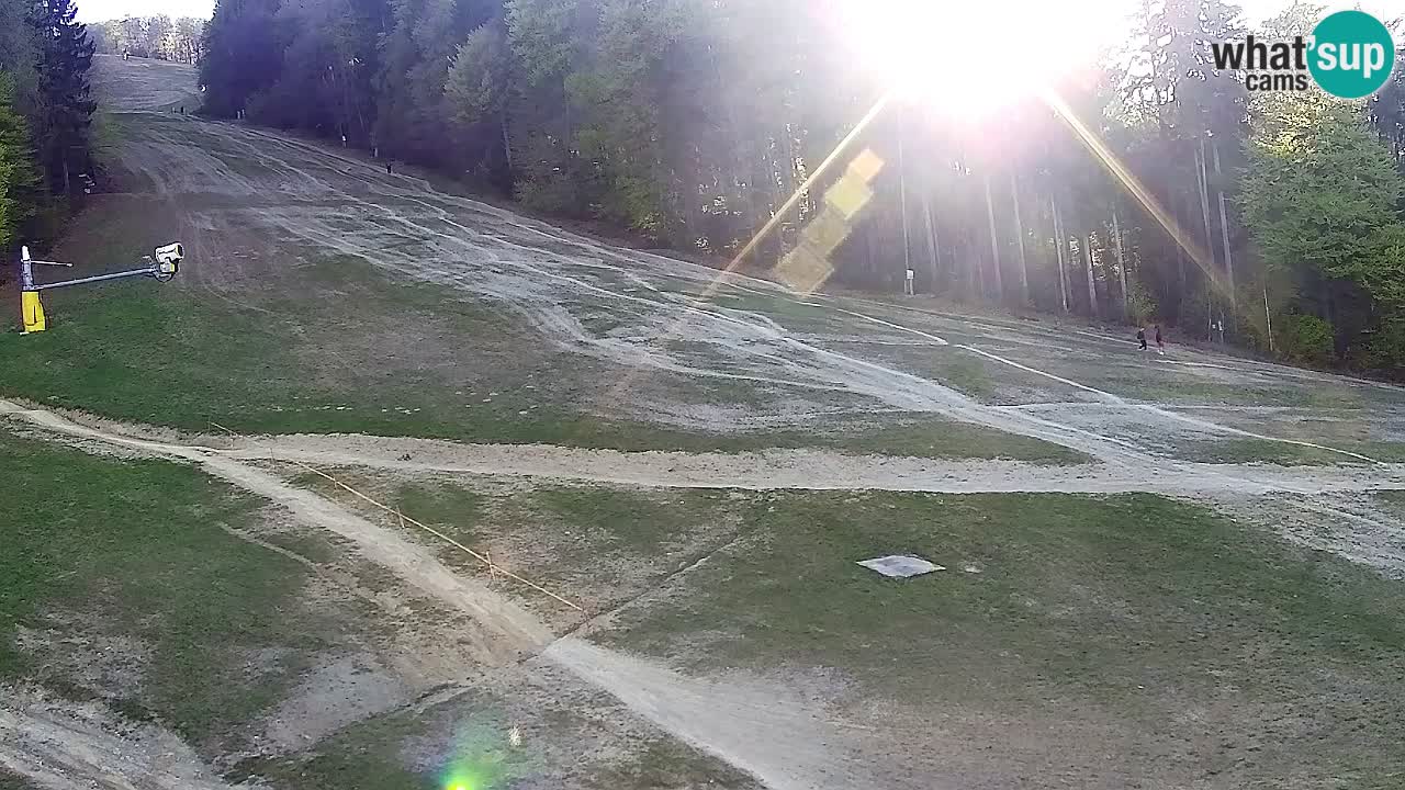 Webcam Pohorje Trikotna Jasa | Poštela