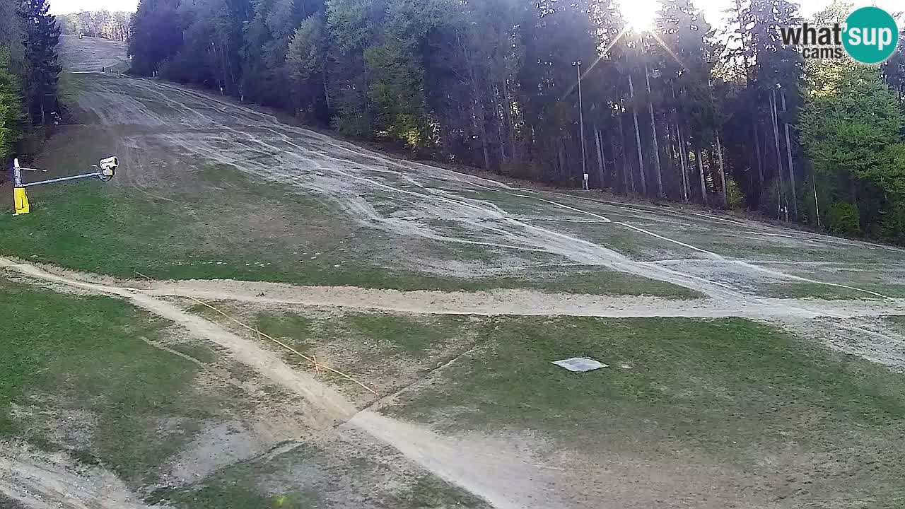 Webcam Pohorje Trikotna Jasa | Poštela
