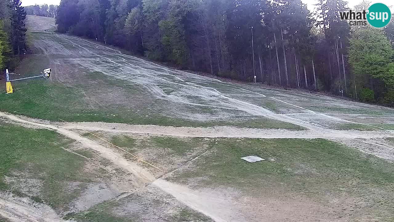 Web kamera Pohorje Trikotna Jasa | Poštela