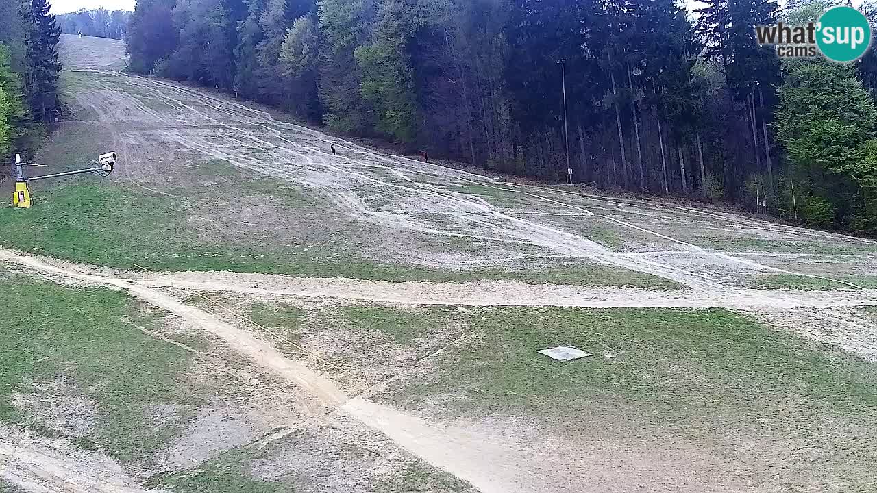 Webcam Pohorje Trikotna Jasa | Poštela