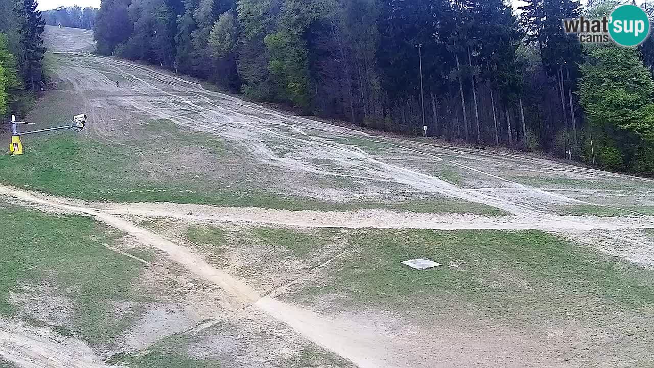 Webcam Pohorje Trikotna Jasa | Poštela