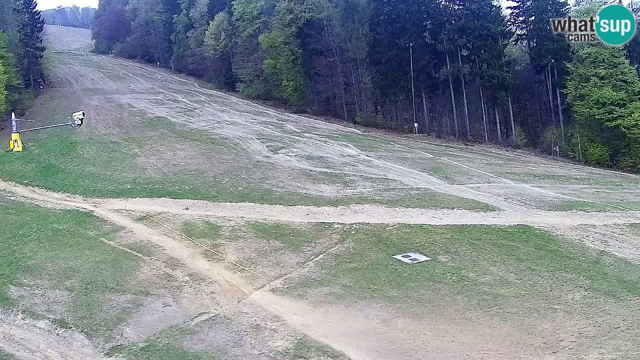Webcam Pohorje Trikotna Jasa | Poštela