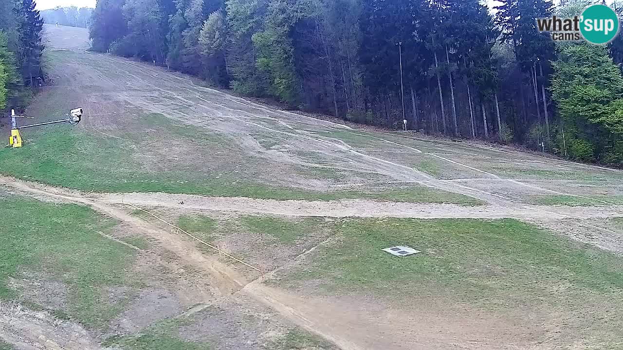 Webcam Pohorje Trikotna Jasa | Poštela