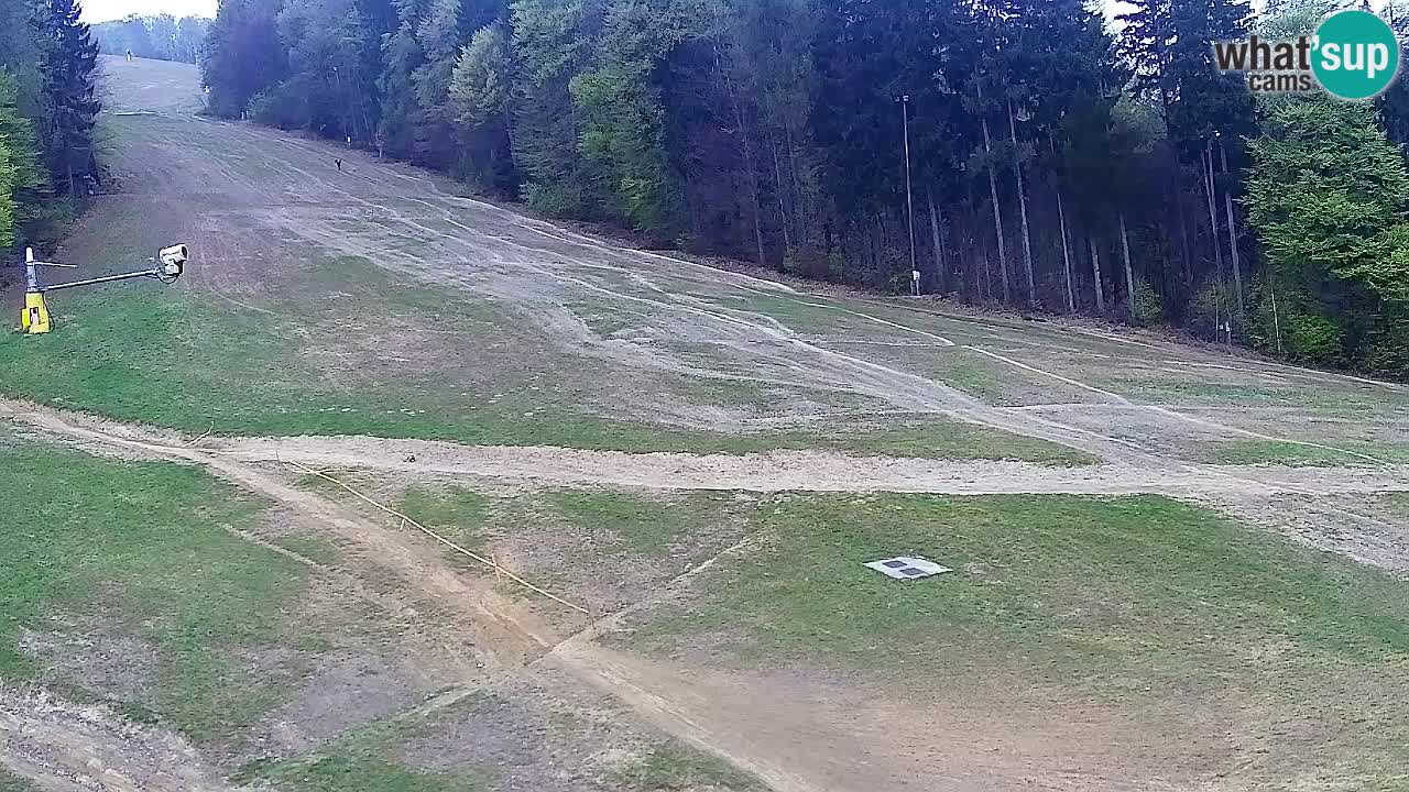 Spletna Kamera Pohorje Trikotna Jasa | Poštela