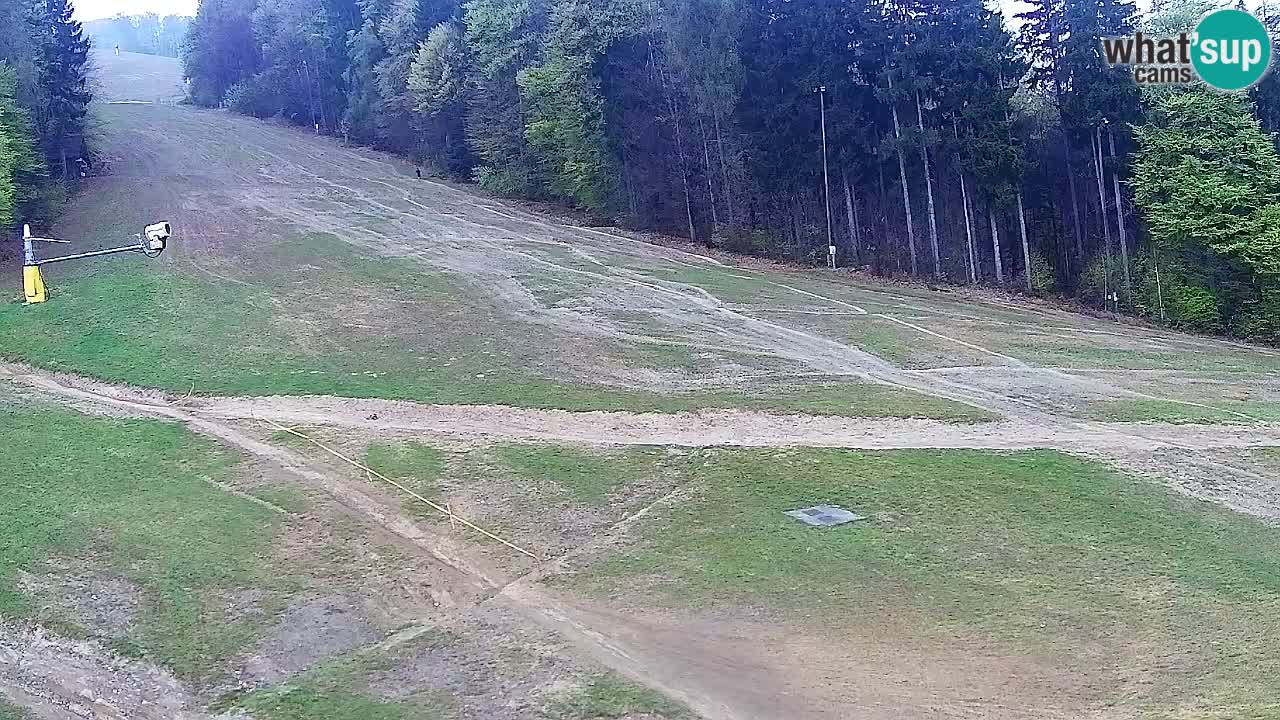 Webcam Pohorje Trikotna Jasa | Poštela