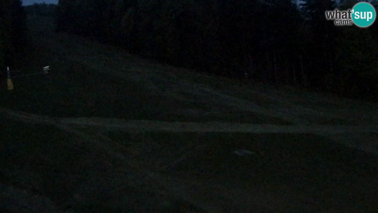 Webcam Pohorje Trikotna Jasa | Poštela