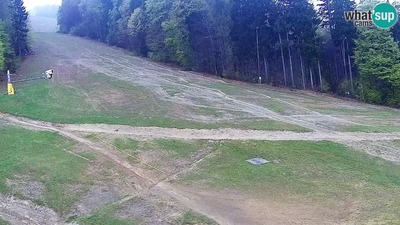 Web Camera Pohorje Trikotna Jasa | Poštela