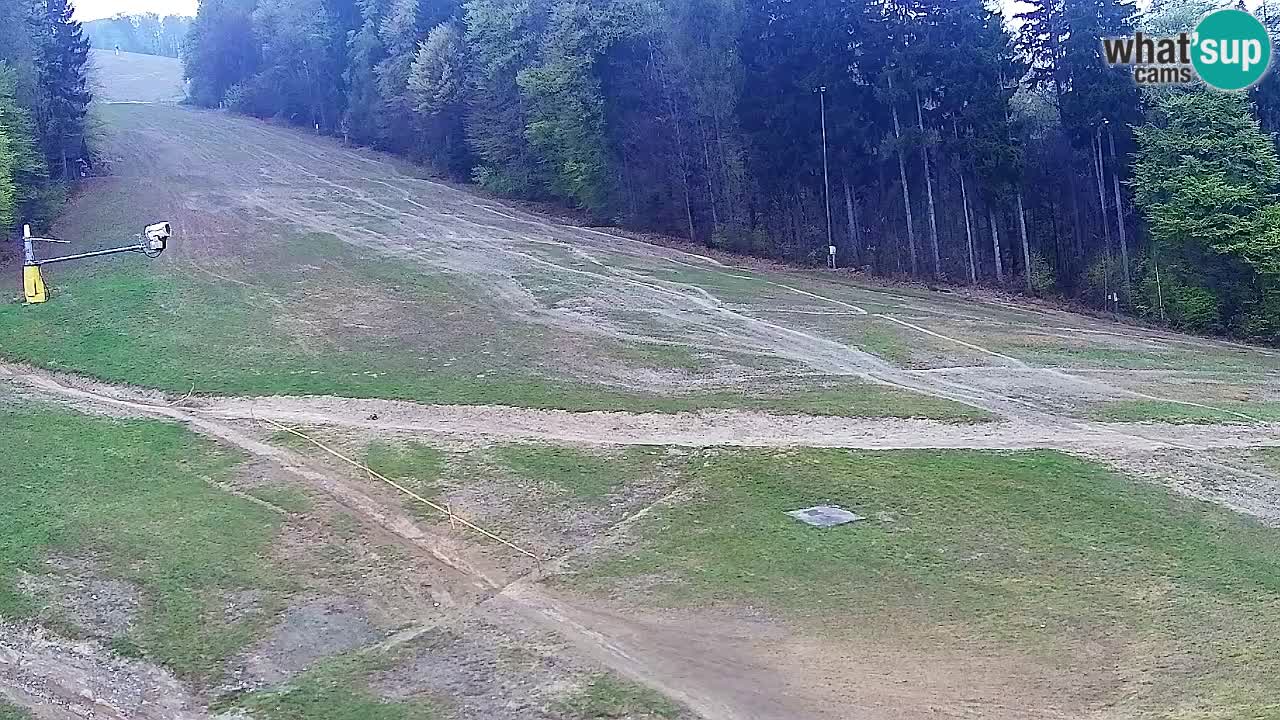 Web kamera Pohorje Trikotna Jasa | Poštela