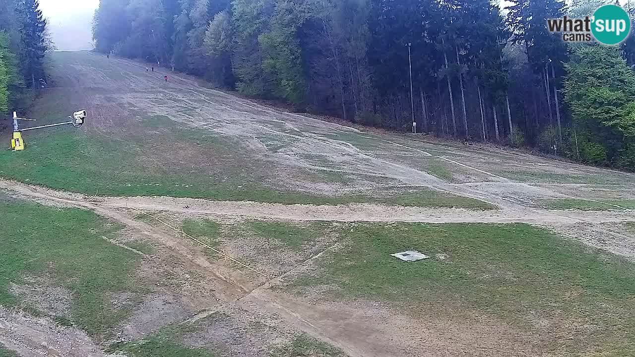 Webcam Pohorje Trikotna Jasa | Poštela