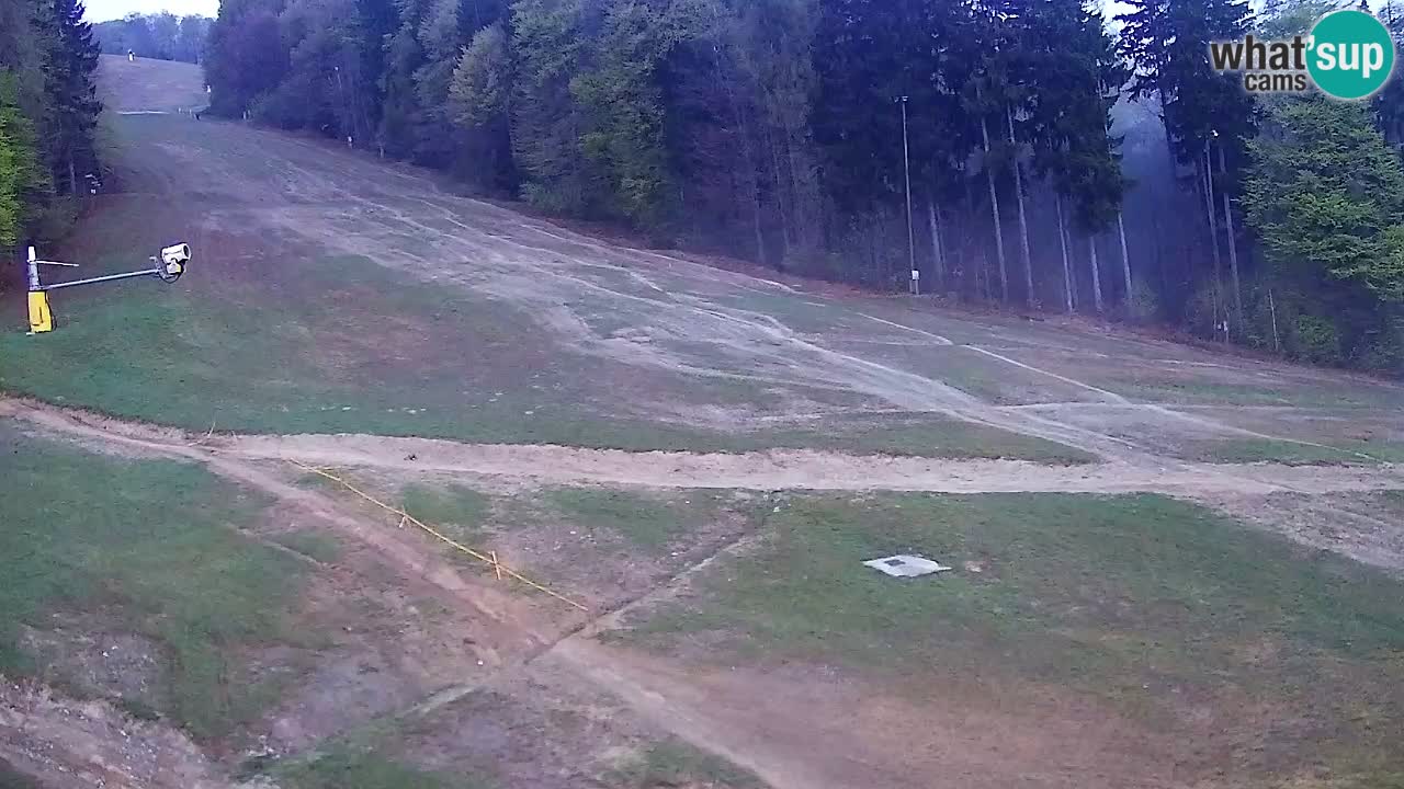 Webcam Pohorje Trikotna Jasa | Poštela