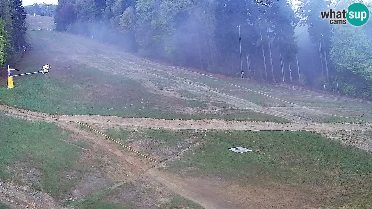 Webcam Pohorje Trikotna Jasa | Poštela